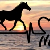 Aufkleber Herzlinie Heartbeat Pferd Araber
