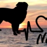 Aufkleber Herzlinie Heartbeat Hund Australian Shepherd