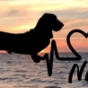 Aufkleber Herzlinie Heartbeat Hund Basset Hount