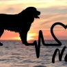 Aufkleber Herzlinie Heartbeat Hund Bernersennen