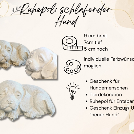 Ruhepol: schlafender Hund