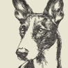 Ferberline Stickdatei Scribble Podenco ab 8x10