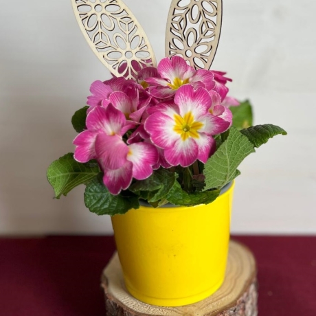 Hasenohren m. Mustern aus gelasertem Holz fürTöpfe/Blumensträuße 