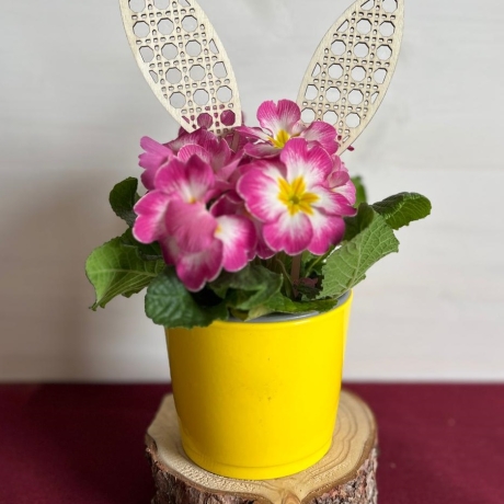 Hasenohren m. Mustern aus gelasertem Holz fürTöpfe/Blumensträuße 