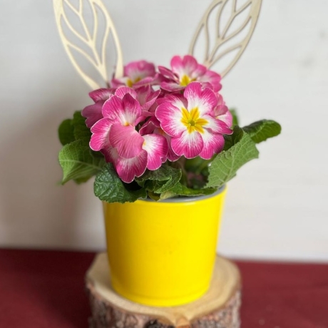 Hasenohren m. Mustern aus gelasertem Holz fürTöpfe/Blumensträuße 