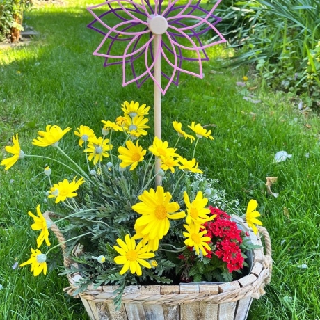 Dekorative Blume „Blütenzauber, Spitze/Runde Blütenform