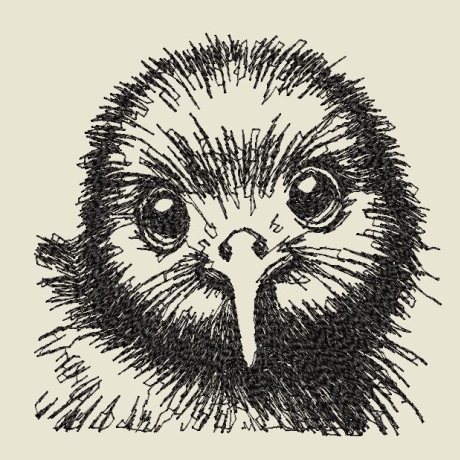 Ferberline Stickdatei Scribble Kiwi Bindi ab 10x10