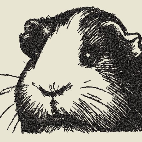Ferberline Stickdatei Scribble Meerschweinchen ab 8x10