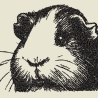 Ferberline Stickdatei Scribble Meerschweinchen ab 8x10