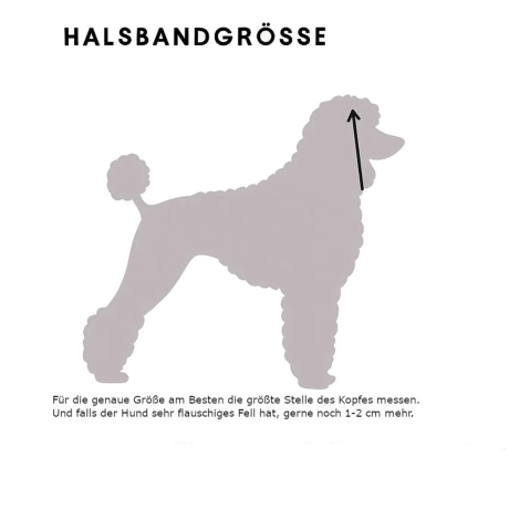 Adventskalender Hund Schmuck 2025 DIY Bastelset Schmuck
