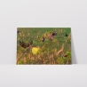 Bild Blümchenwiese - Kunstdruck
