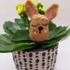 Blumenhase