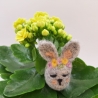 Blumenhase