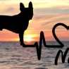 Aufkleber Herzlinie Heartbeat Hund Boston Terrier