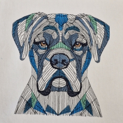 Boxer 01 - 16.55 x 17.52 cm