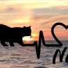 Aufkleber Herzlinie Heartbeat Katze British Kurzhaar