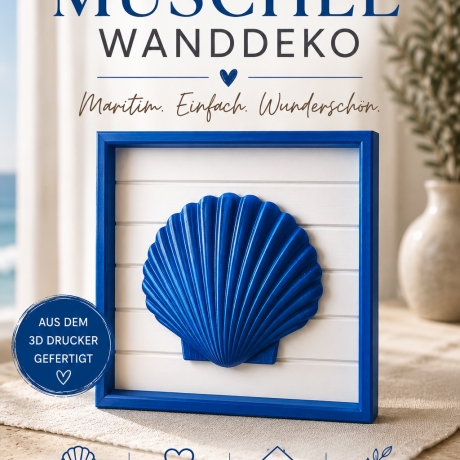 3D-Wandbild Muschel – Maritime Wanddeko