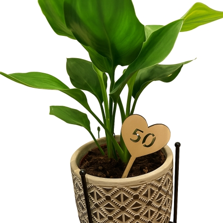 Herz-Stecker/ Topper aus Holz – Jubiläumszahlen / Geburtstage