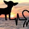 Aufkleber Herzlinie Heartbeat Hund Chihuahua Kurzhaar