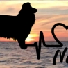 Aufkleber Herzlinie Heartbeat Hund Collie