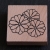 1 Stempel Blume Blüte