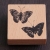 1 Stempel Schmetterlinge