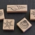 5 Stempel Meerestiere Meer Muscheln Seestern