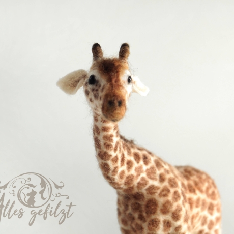 Giraffe, gefilzt