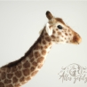 Giraffe, gefilzt