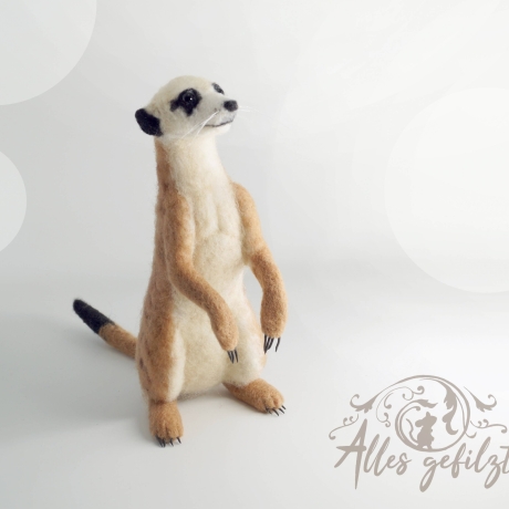 Erdmännchen, gefilzt