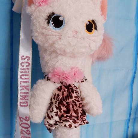 Schultüte Katze  Zuckertüte + Inlettkissen