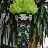 Schultüte Ninja Zuckertüte 
