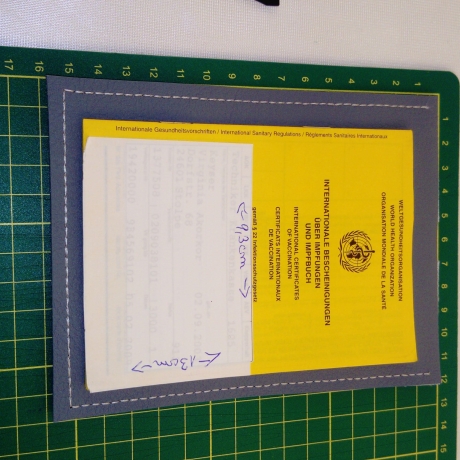 Kussmund Impfpasshülle Aufbewahrung  Kunstleder