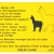 Alpakaschild füttern verboten No. 4 - 15x20 cm - Gravurschild