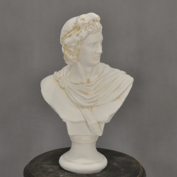 Schöne Büste des Apollo. 51 cm.