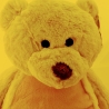 Kuschelbär Teddy 45 cm mit Wunschtext bestickt 