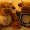 Highland Cow Bulle  Bestickung mit Wunschtext 37 cm