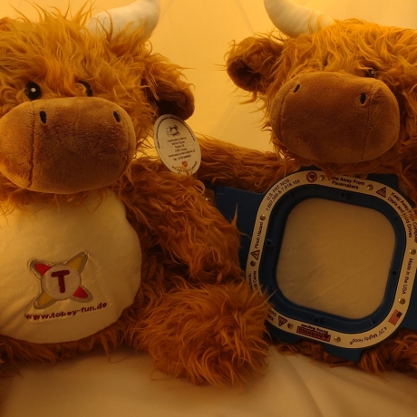 Highland Cow Bulle  Bestickung mit Wunschtext 37 cm