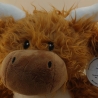 Highland Cow Bulle  Bestickung mit Wunschtext 37 cm