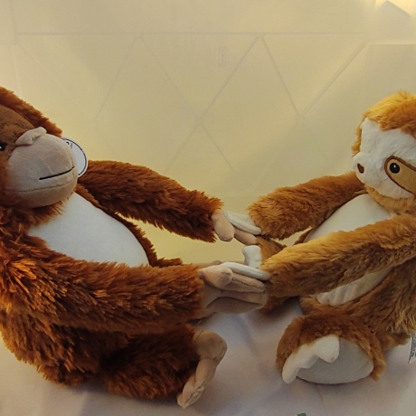 Faultier Sloth  Kuscheltier Bestickung mit Wunschtext 47 cm