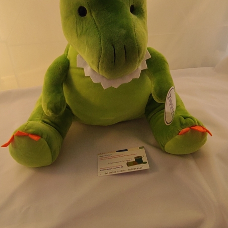 Dino Grün Kuscheltier Bestickung mit Wunschtext 42 cm