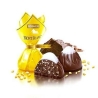 500 Gramm ukrainische ROSHEN-Premium-Pralinen 