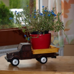 Deko-Lastwagen aus Holz, dunkelbraun/eiche Deko-Lastwagen aus Holz, dunkelbraun/eiche