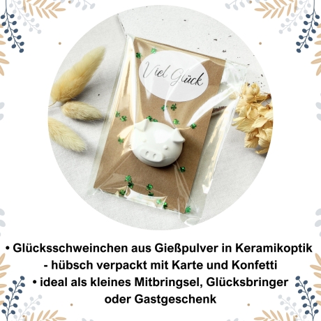 Glücksschweinchen aus Gießpulver ~ Glücksbringer