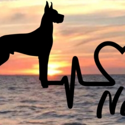Aufkleber Herzlinie Heartbeat Hund Deutsche Dogge