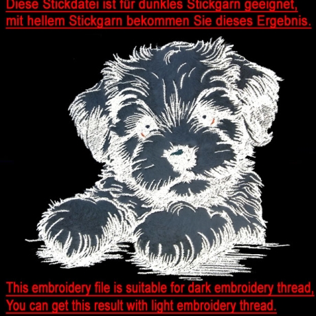 NEU Stickdatei Applikation Havaneser Welpe Silvie