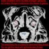NEU Stickdatei Staffordshire Bullterrier Welpe Jan
