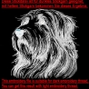 NEU Stickdatei  Bearded Collie Mike Hund LunaChild