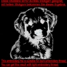 NEU Stickdatei Golden Retriever Welpe Muffin Hund 
