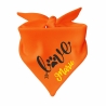 Dreiecks Hundehalstuch LOVE personalisiert mit Name